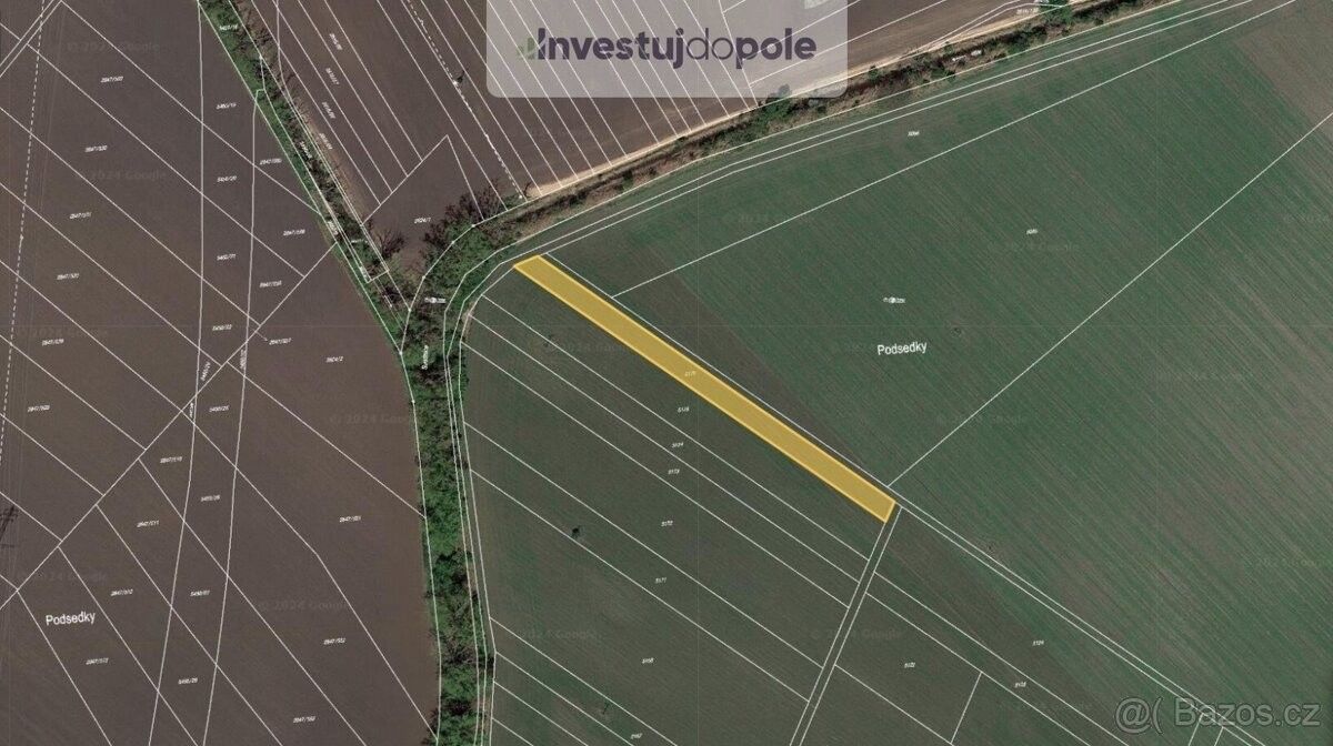 Prodej zemědělský pozemek - Kostice u Břeclavě, 691 52, 1 817 m²