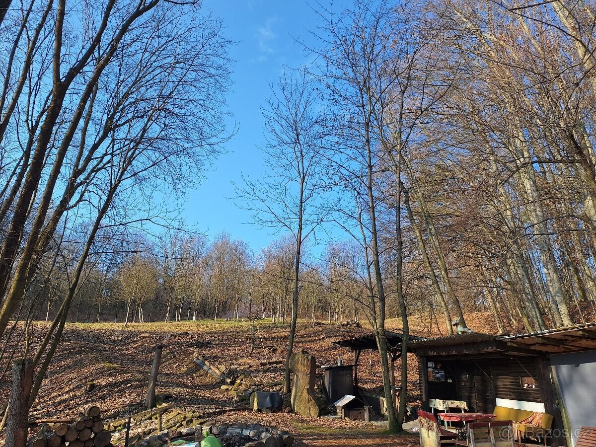 Prodej louka - Velký Ořechov, 763 07 - 5