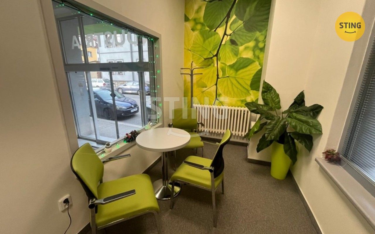 Kanceláře, Kounicova, Ostrava, 17 m²