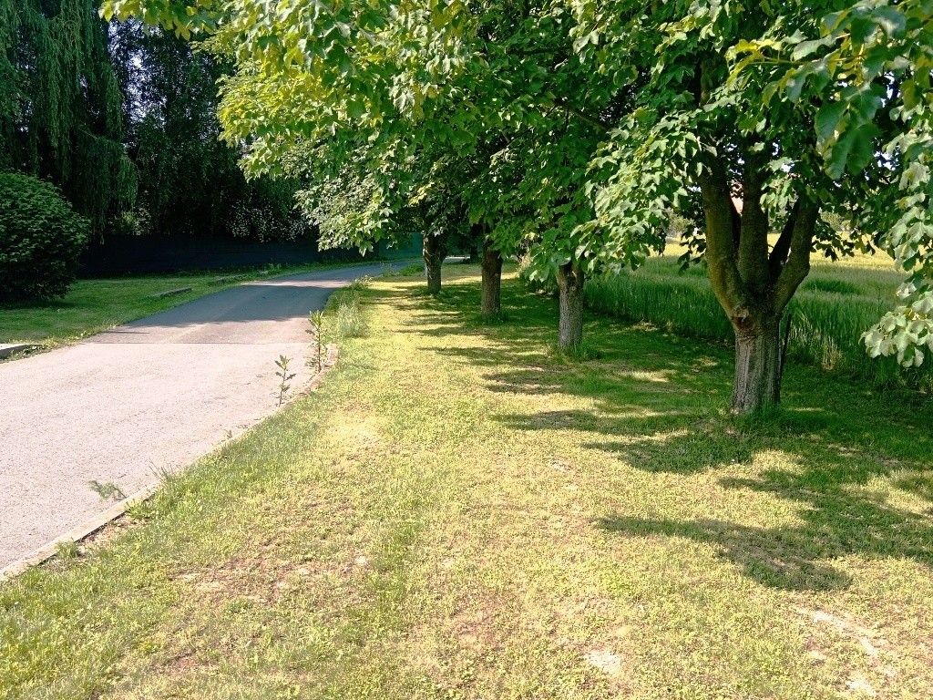 Prodej rodinný dům - Uničov, 783 91