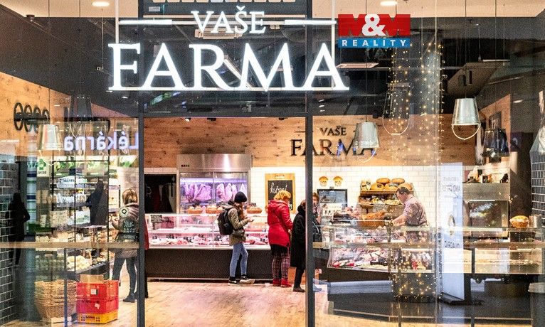 Obchodní prostory, Spálená, Praha, 80 m²