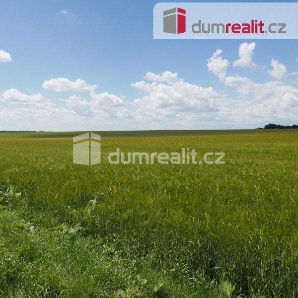 Zemědělské pozemky, Horní Bousov, Dolní Bousov, 11 679 m²