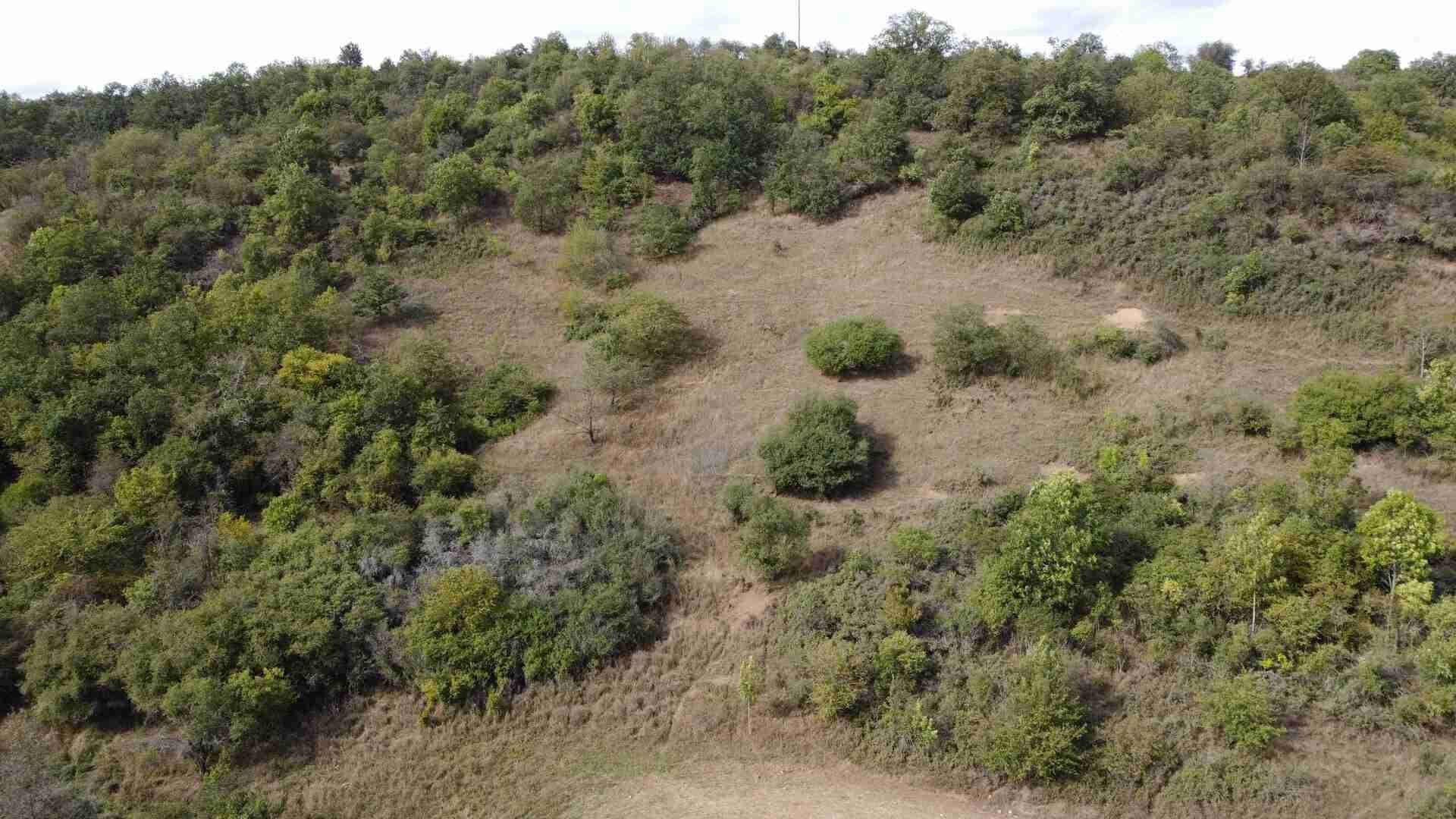 Zemědělský pozemek, 22 441 m²