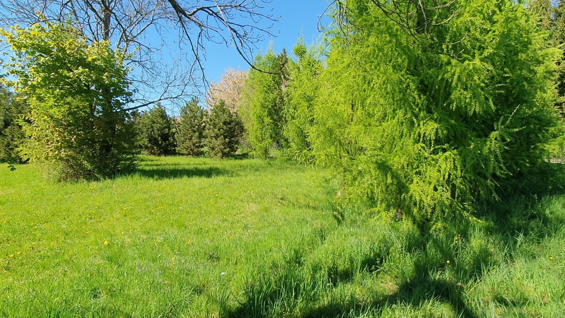 Pozemek pro bydlení · Světlá pod Ještědem - Světlá pod Ještědem, Liberecký kraj - 3