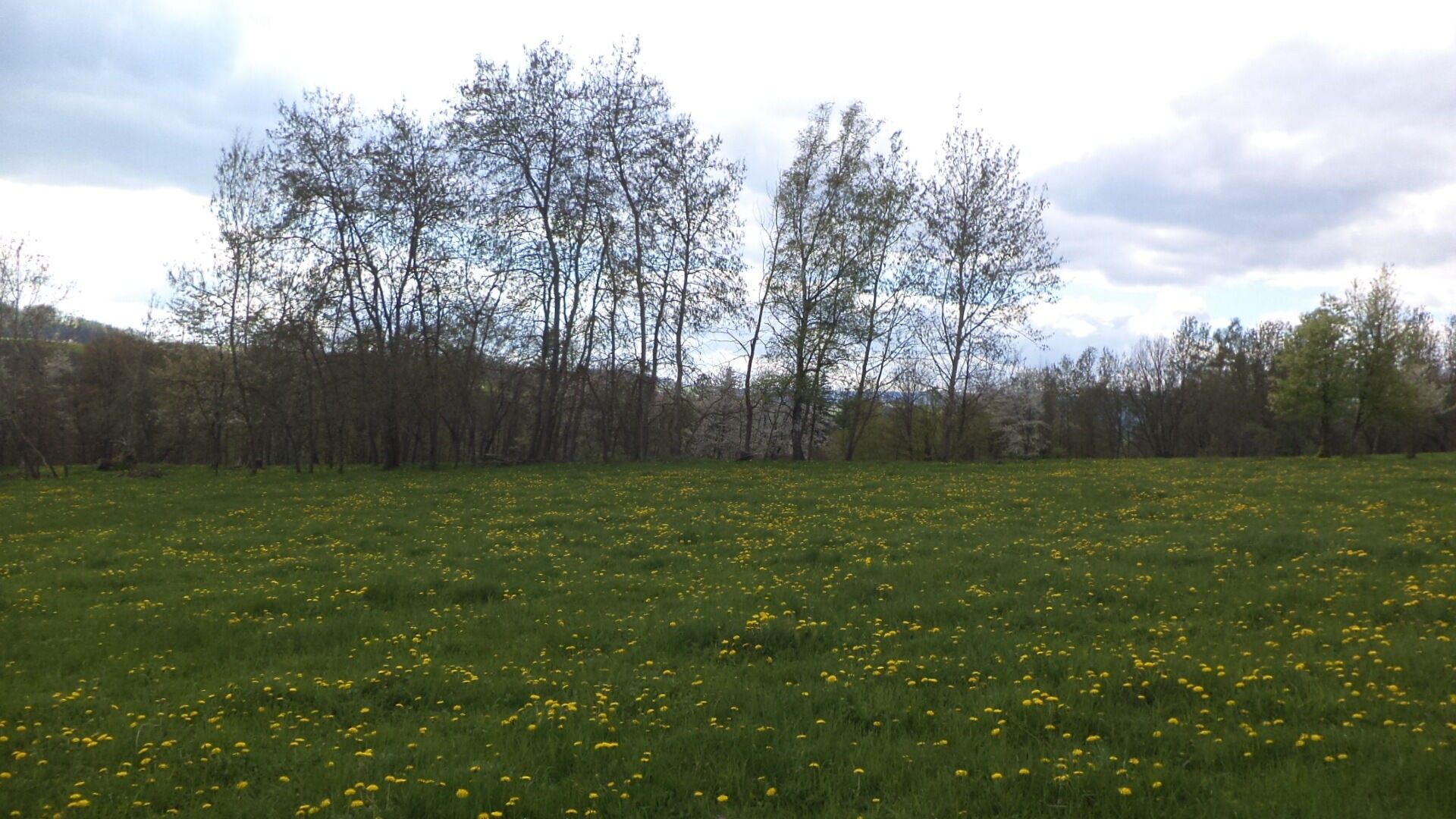 Pozemek · 10 063 m² · Staré Město Nová Véska - 3