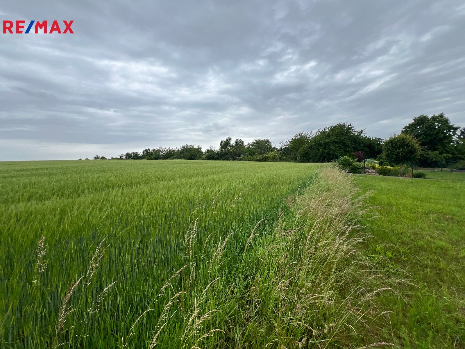 Zemědělské pozemky, Krupá, 18 m²