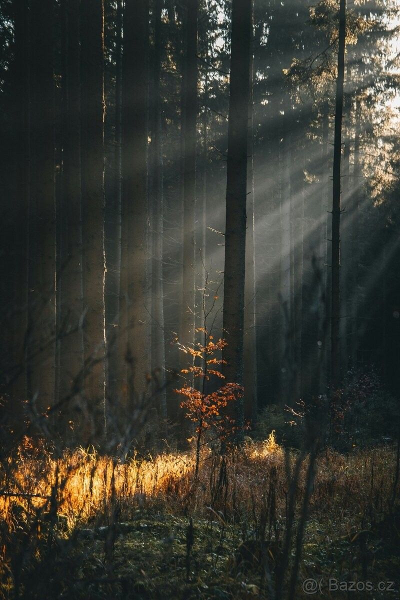 Pozemky pro bydlení, Jarcová, 757 01