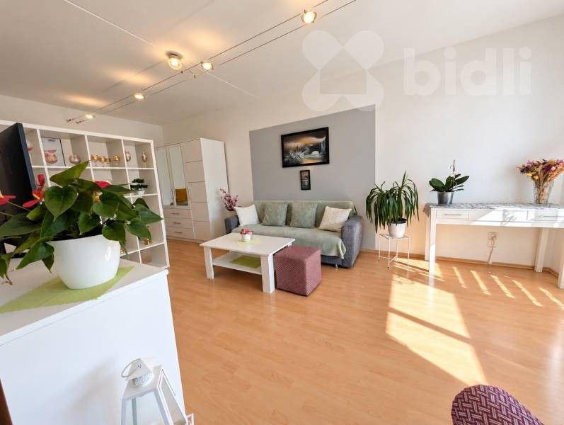 Byt 1+1, 45 m²