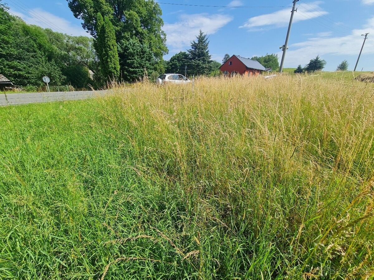Pozemky pro bydlení, Písečná u Jeseníku, 790 82