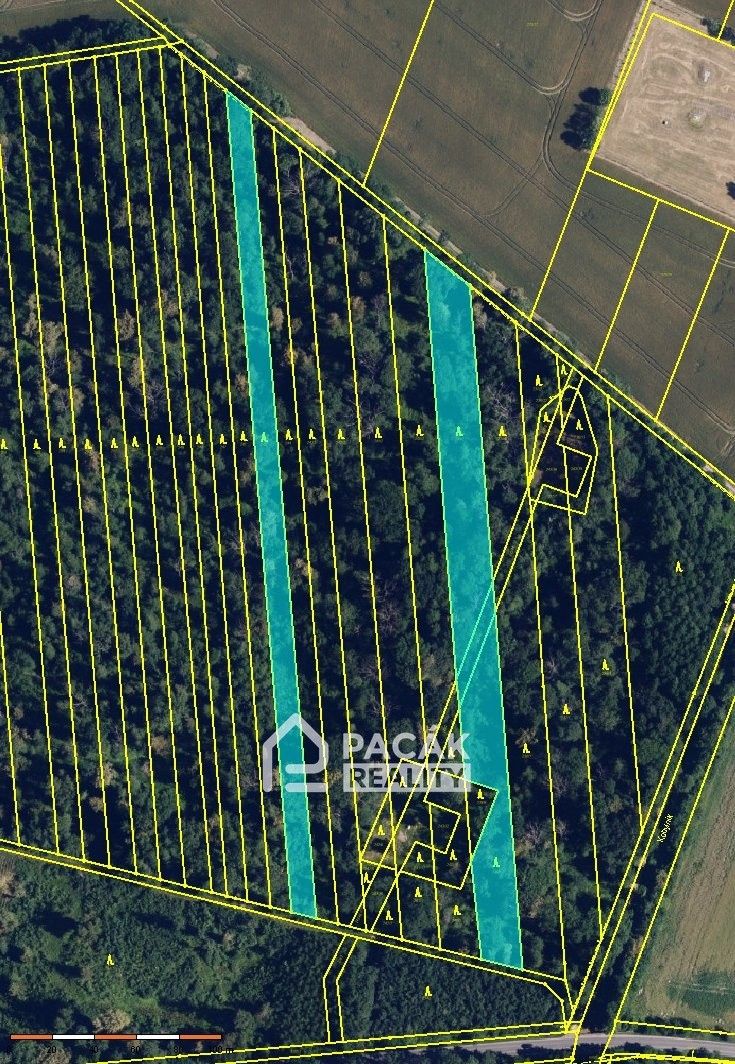 Prodej les - Pňovice, 10 670 m²