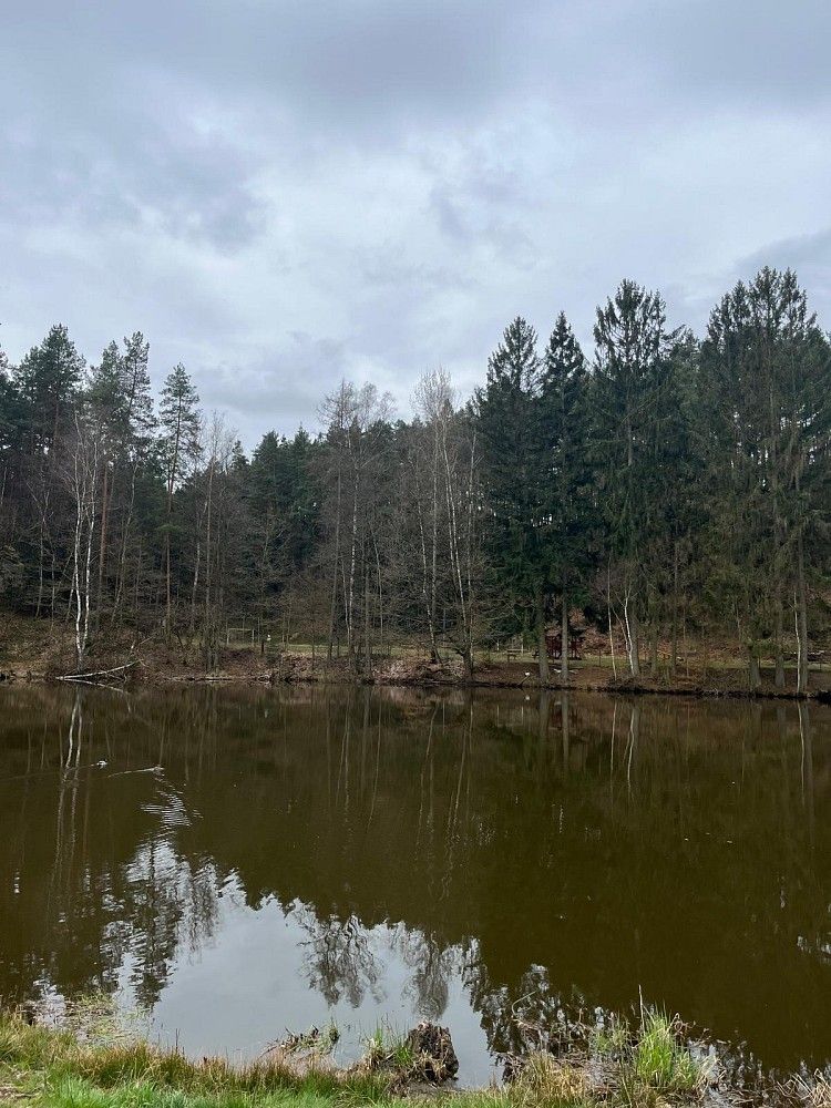 Chalupa · 150 m² · Janovice v Podještědí, okres Liberec, Liberecký kraj - 4
