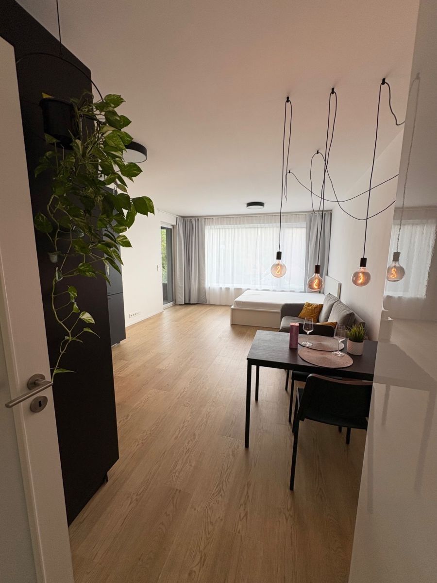 Byt 1+kk · 40 m² · Skálové, Praha - Braník - 3