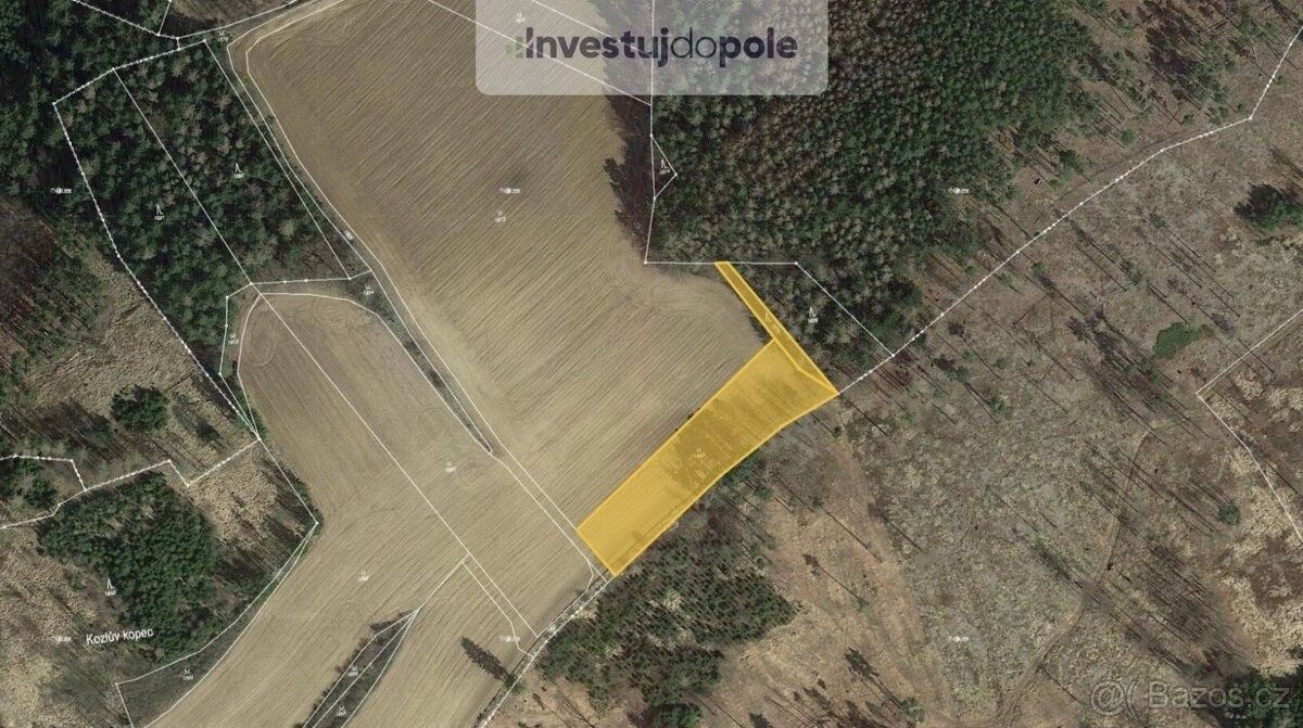 Prodej louka - Načeradec, 257 08, 3 856 m²