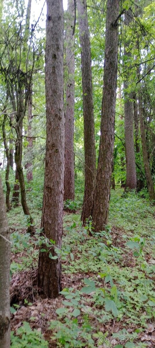 Pozemky pro bydlení, Letovice, 679 61