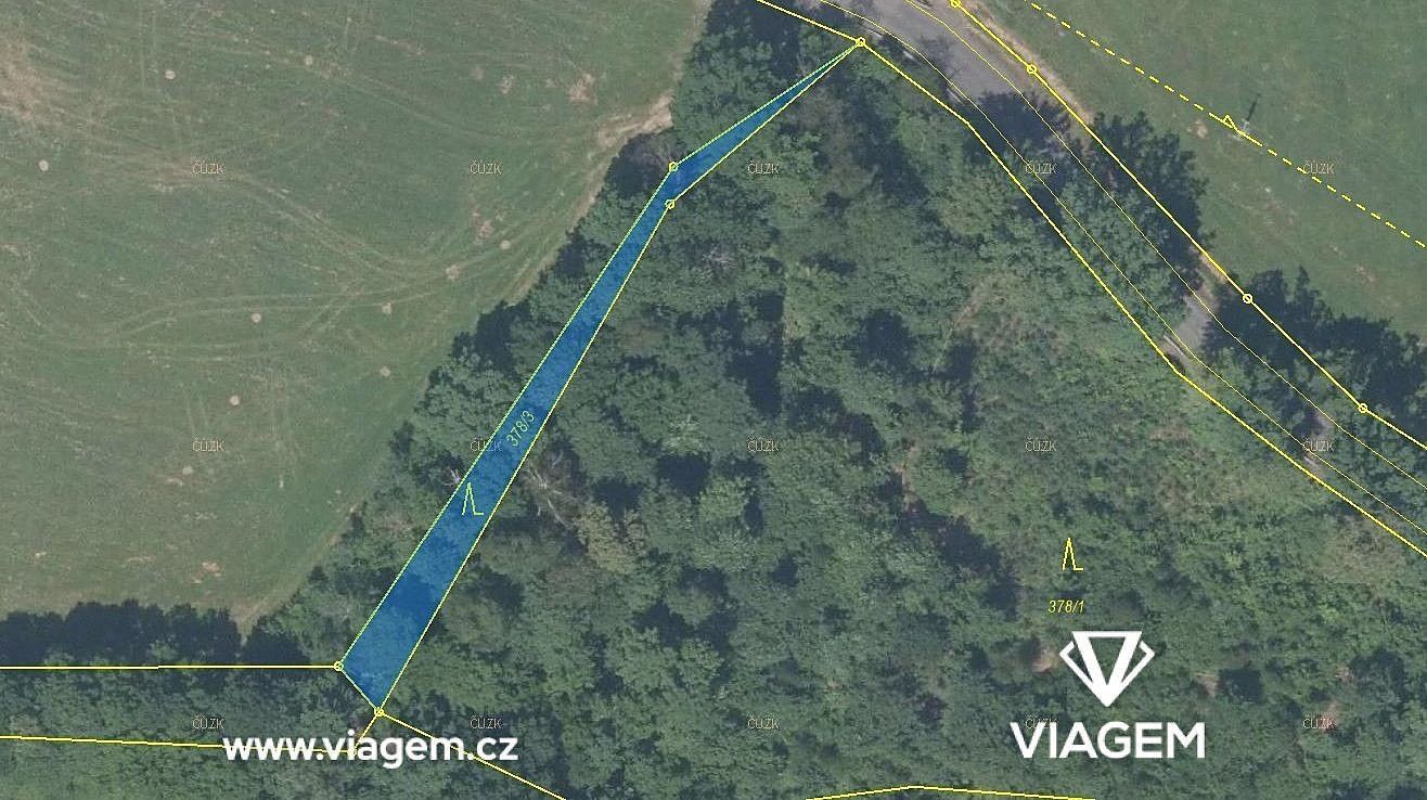 Prodej les - Česká Kamenice, okres Děčín, Ústecký kraj - 1