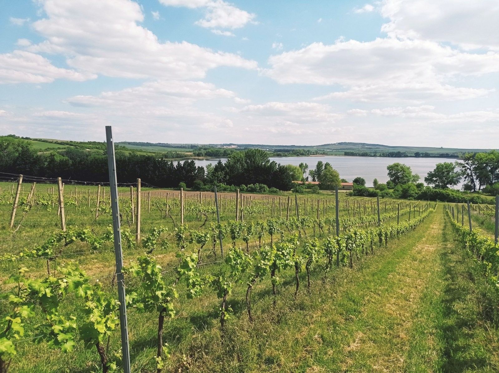 Ostatní, Sedlec, 21 m²