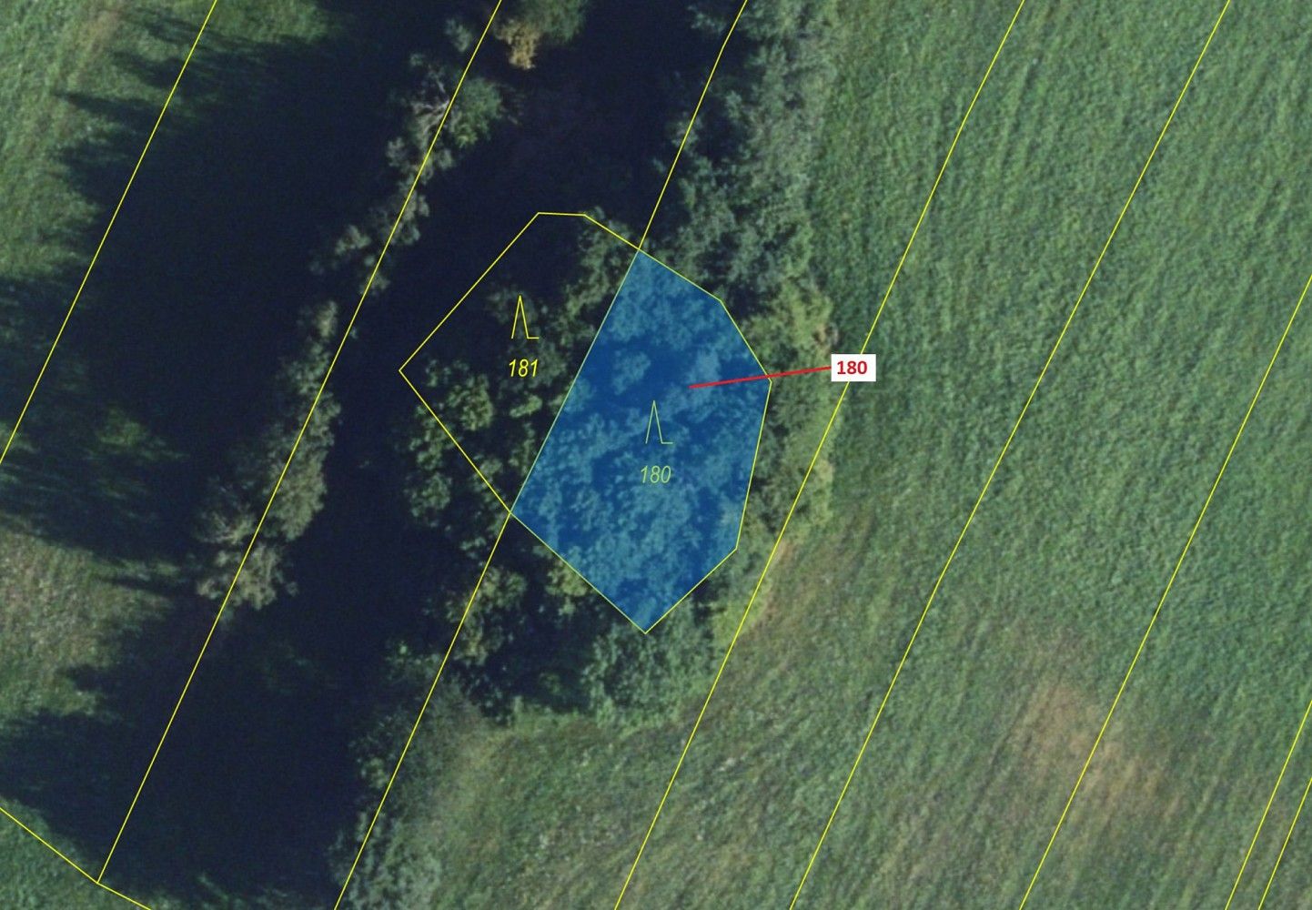 Prodej les - Vysoká, okres Svitavy, Pardubický kraj - 2