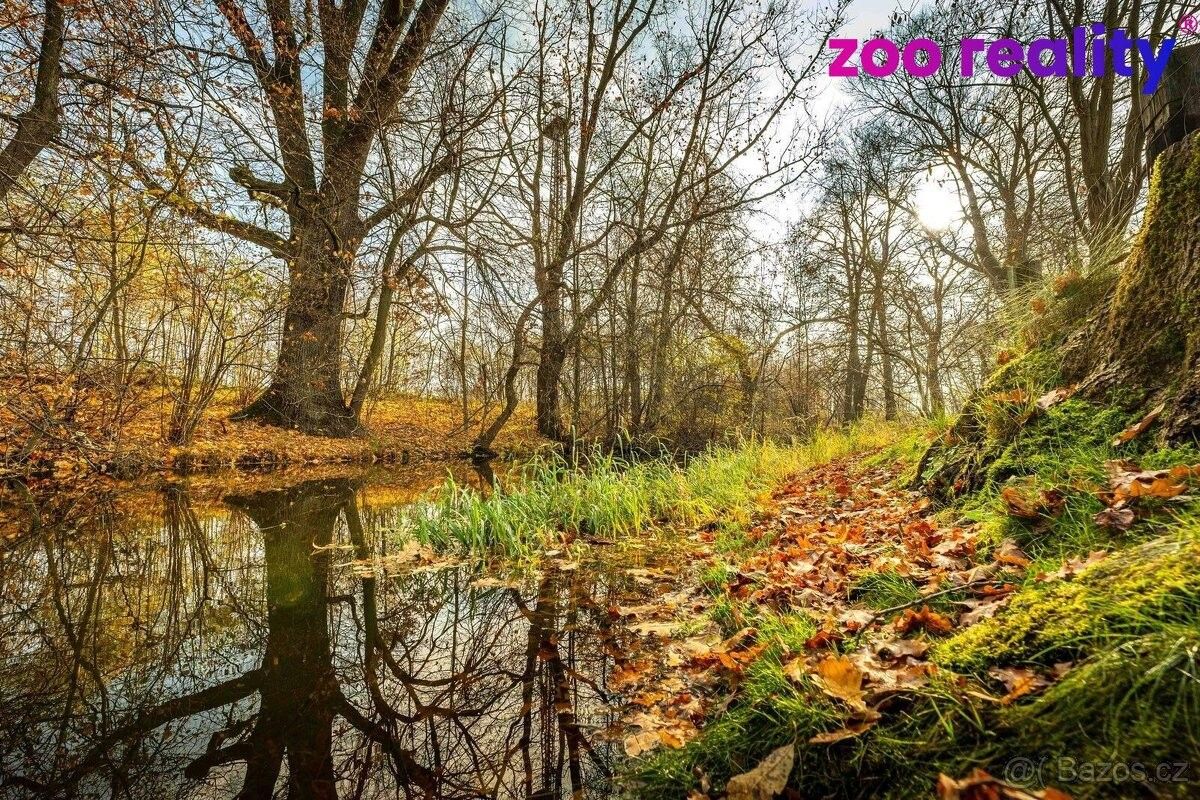 Prodej rodinný dům - Suchdol nad Lužnicí, 378 06