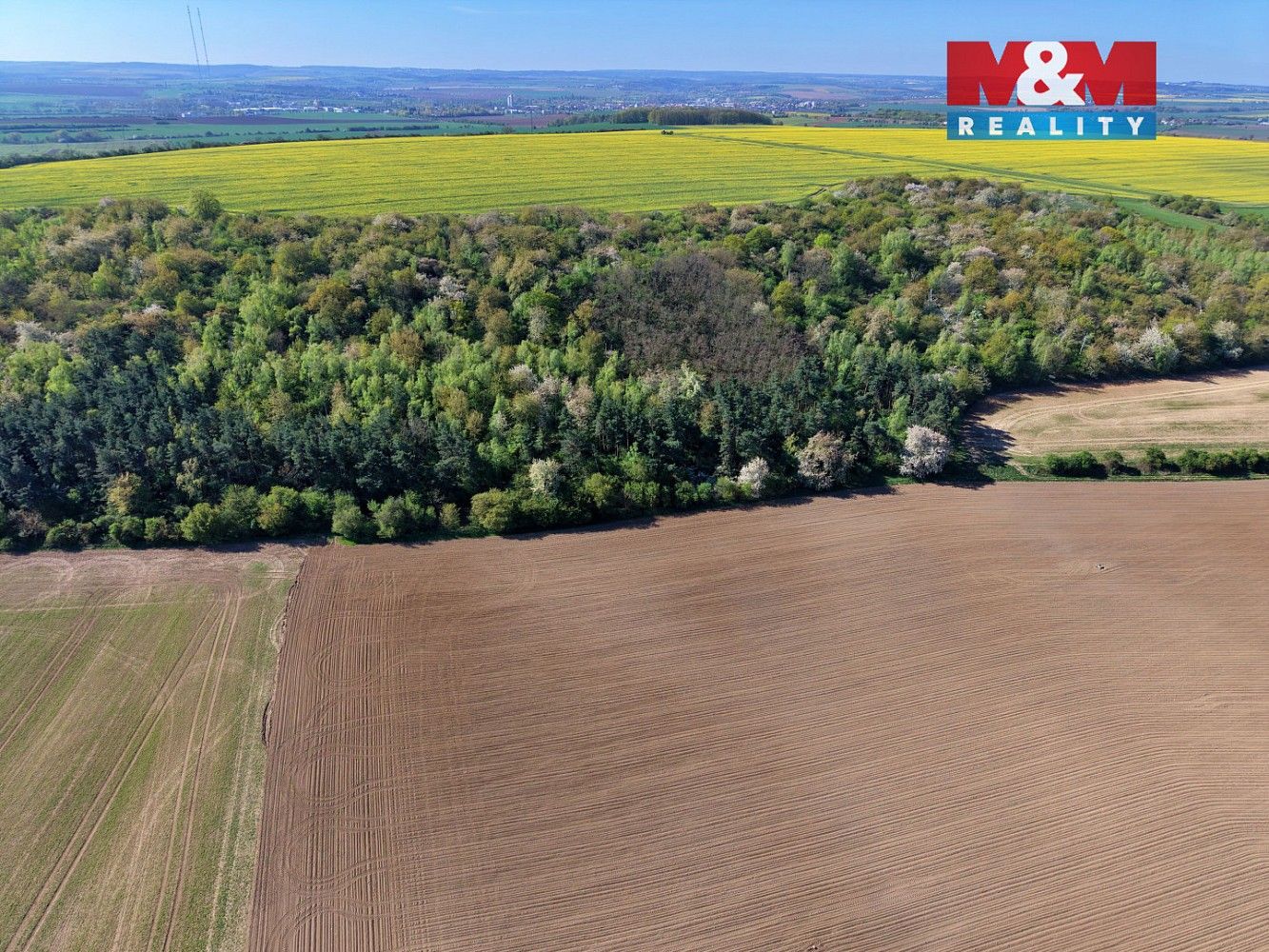 Les · Kounice, okres Nymburk, Středočeský kraj - 3