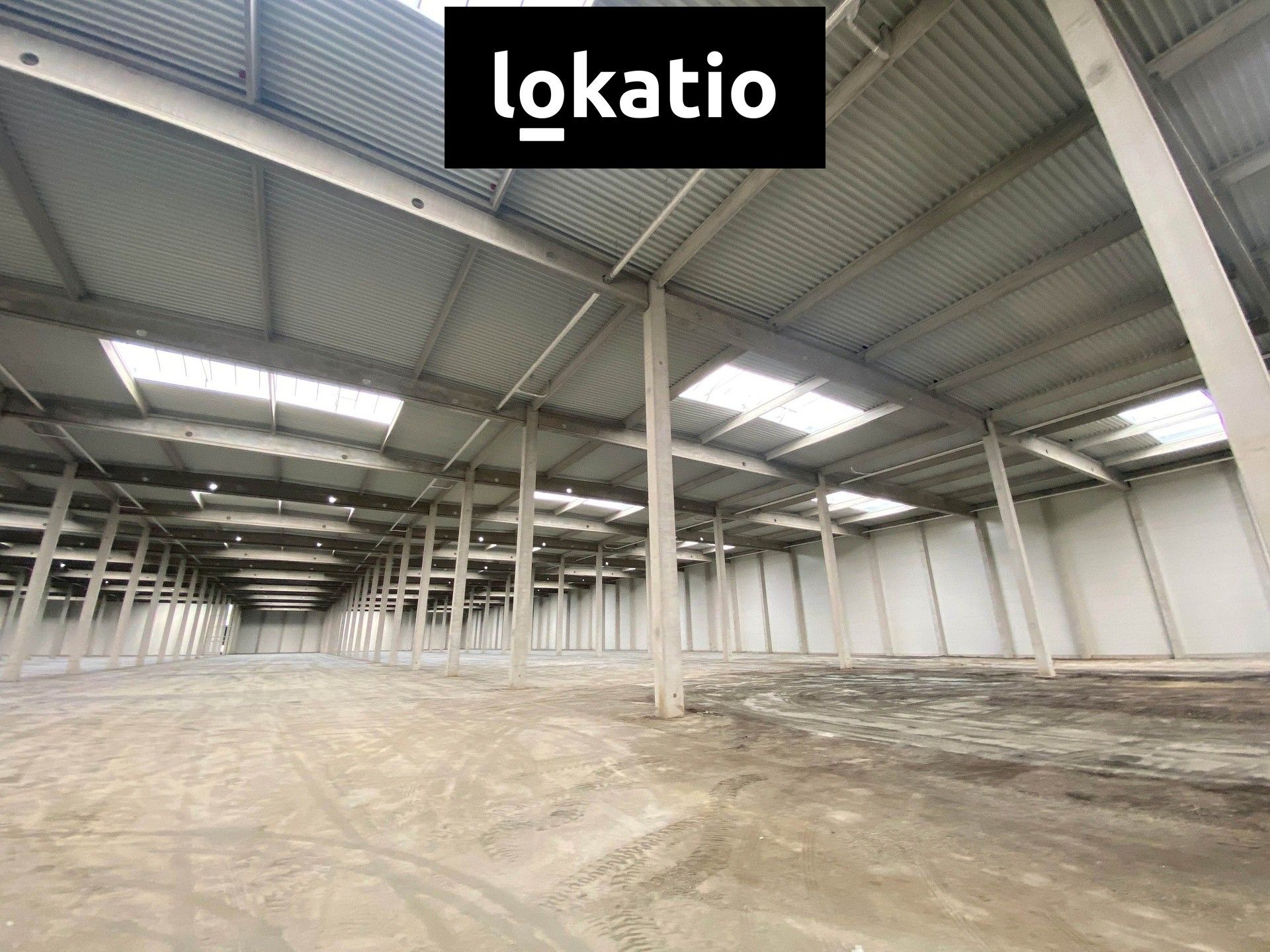 Sklad · 14 247 m² · Hrušov, Ostrava - 4