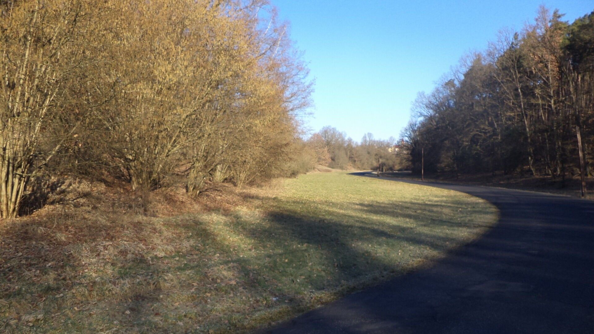 Zemědělský pozemek, 3 205 m²