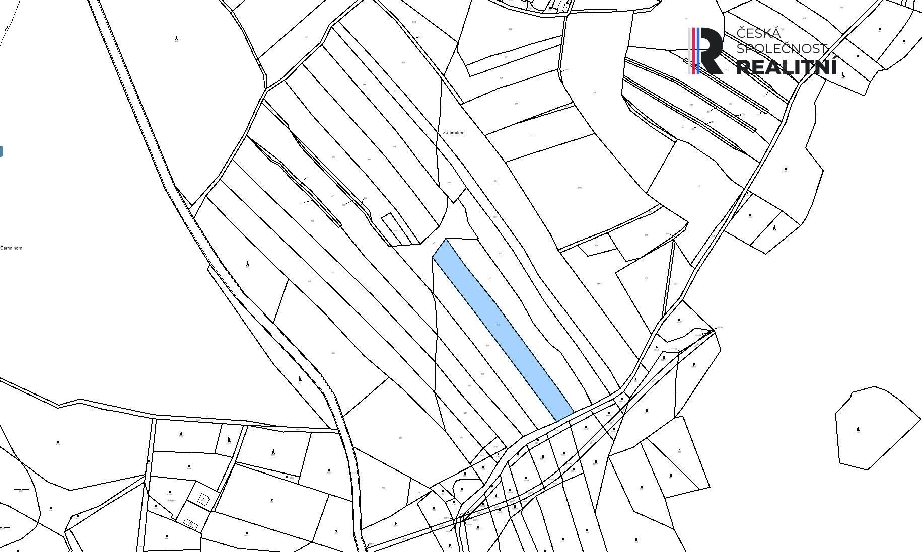 Prodej zemědělský pozemek - ská Lhota, Jankov, 10 m²