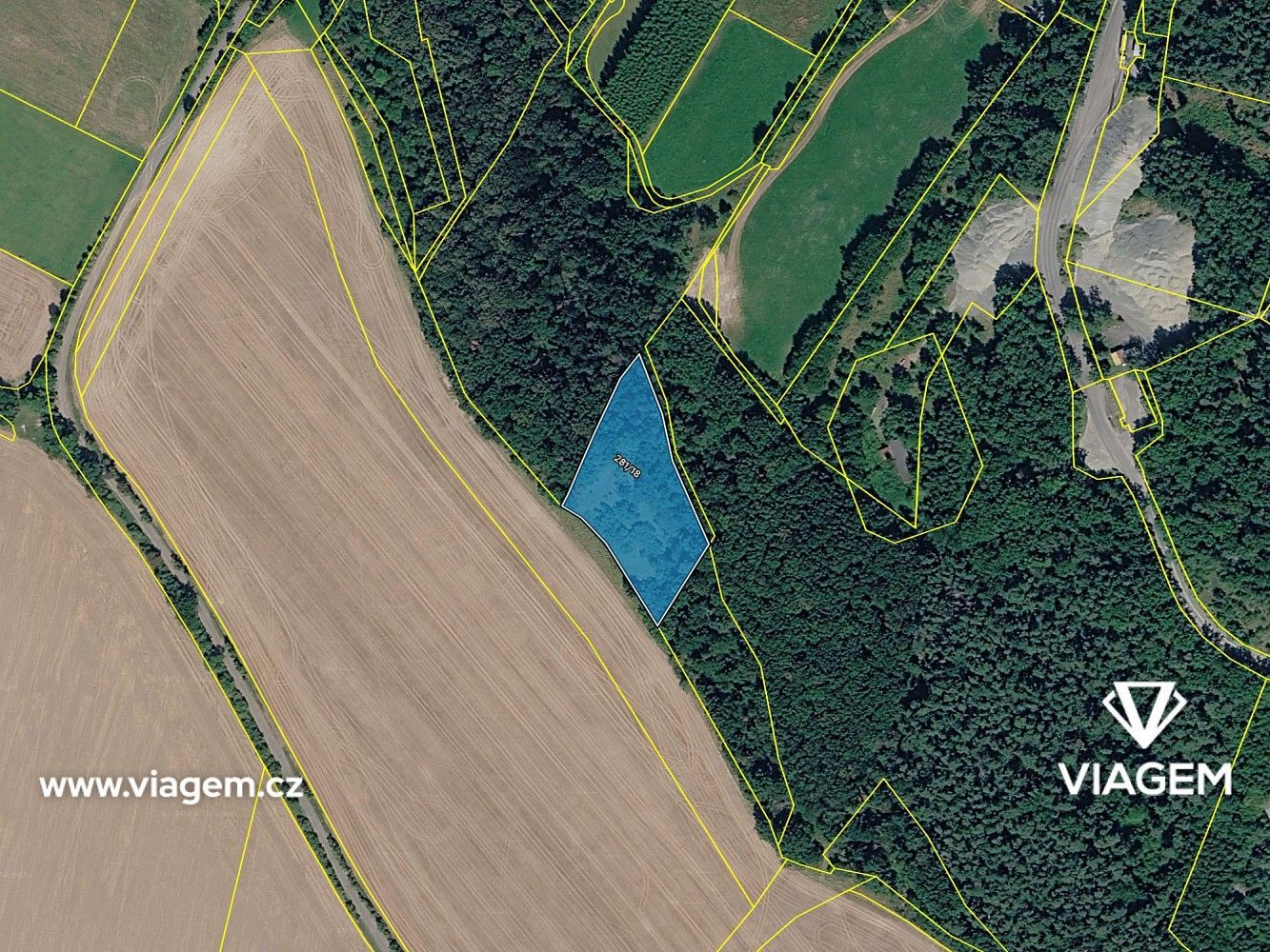 Les · Tachov, okres Česká Lípa, Liberecký kraj - 4
