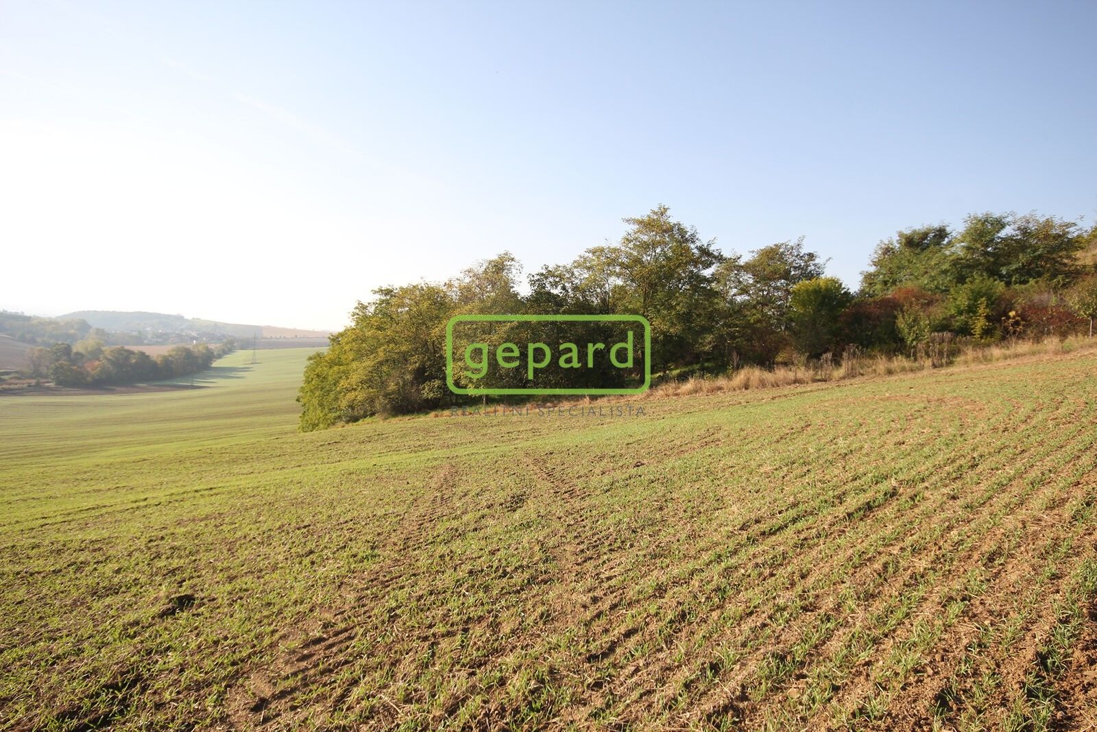 Pozemek pro bydlení · 3 885 m² · Mokrá-Horákov - 4