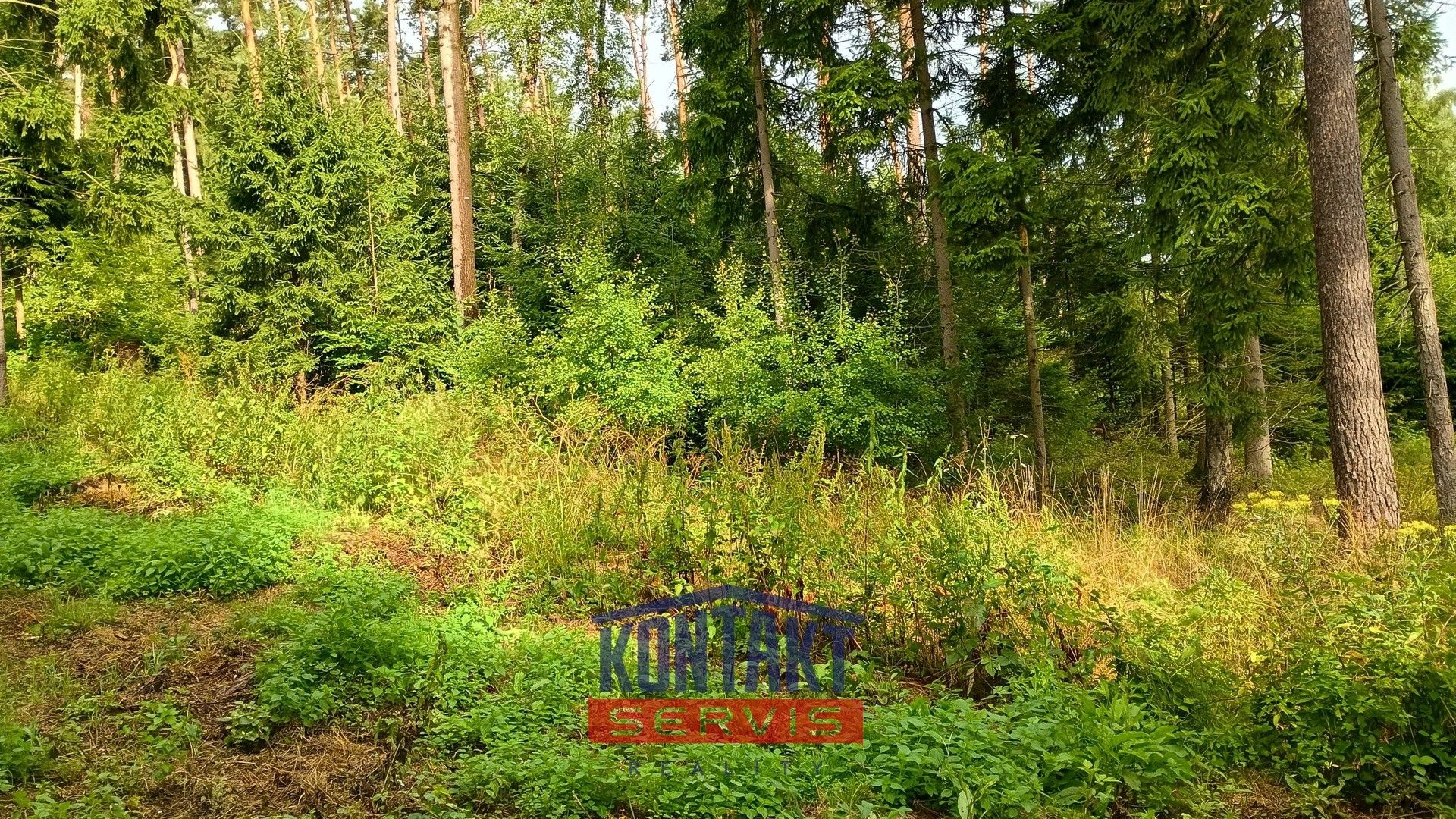 Prodej les - Bušanovice