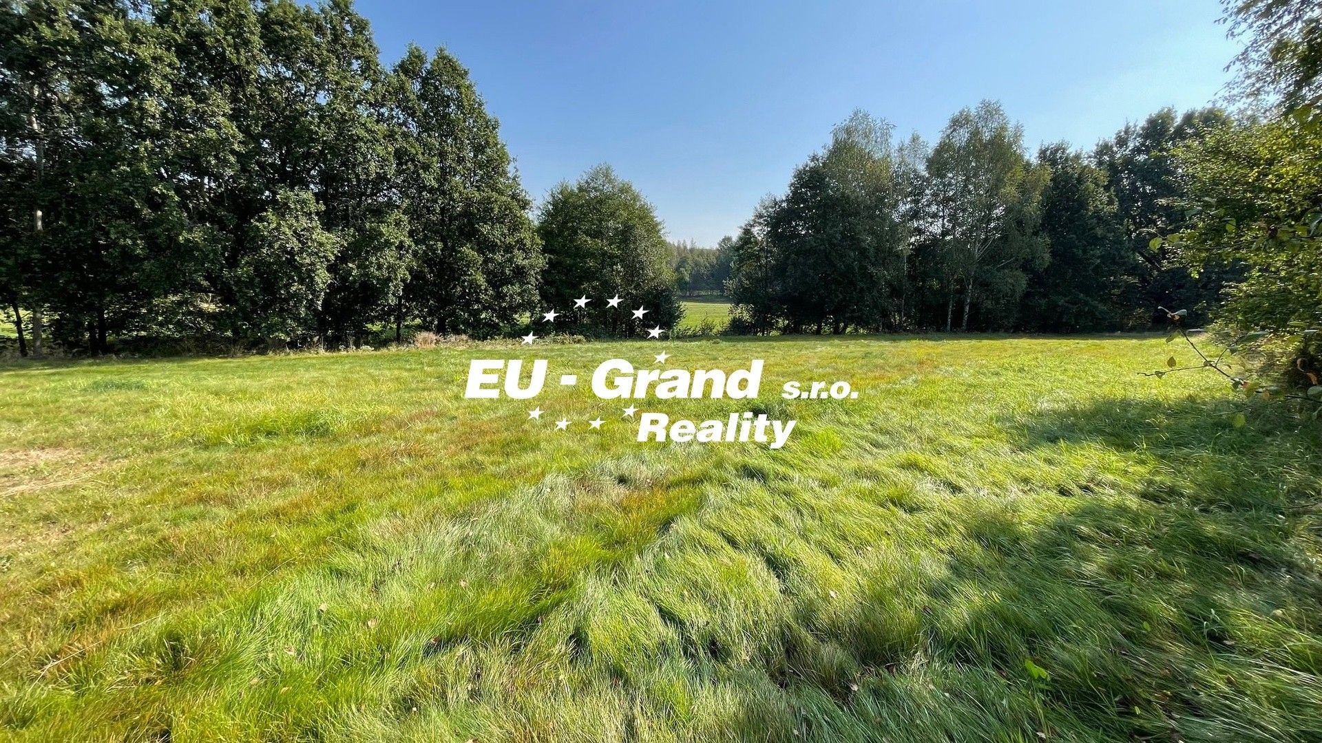 Prodej louka - Šluknov