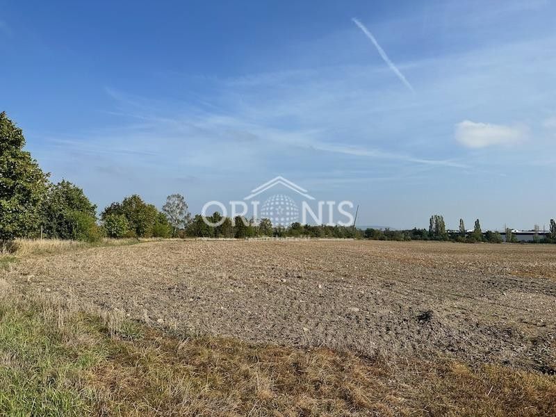 Zemědělský pozemek · 18 559 m² · Jirkov - 4