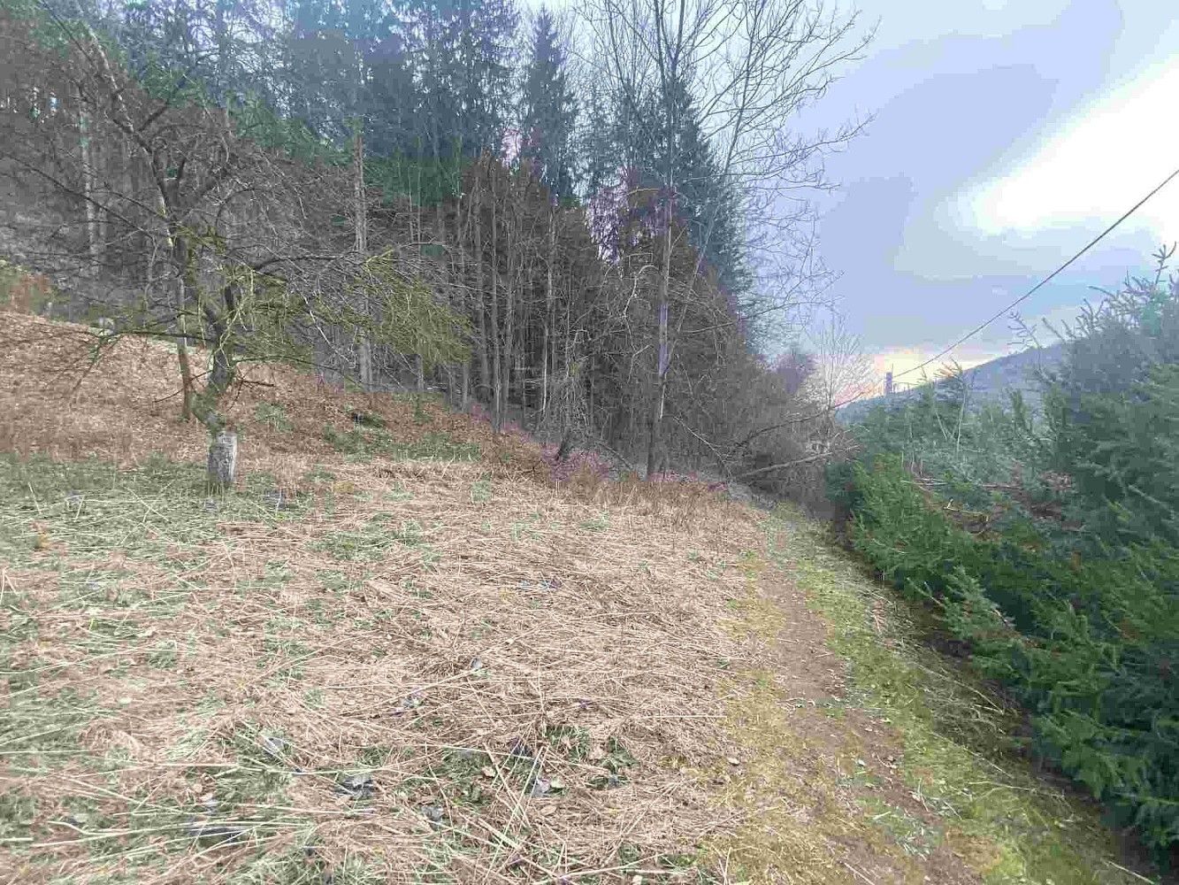 Zahrada, 903 m²