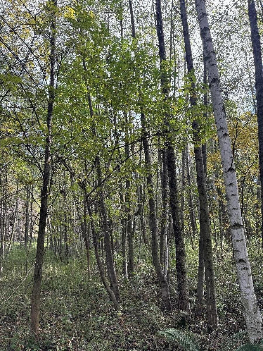 Prodej pozemek pro bydlení - Bohumín, 735 81