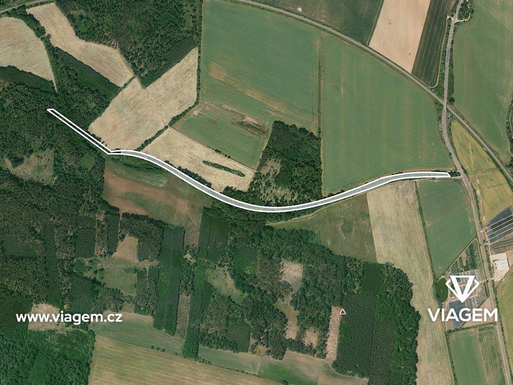Les · Sokoleč, okres Nymburk, Středočeský kraj - 2
