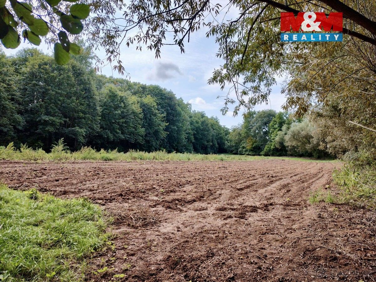 Prodej pozemek pro bydlení - Žatec, 438 01