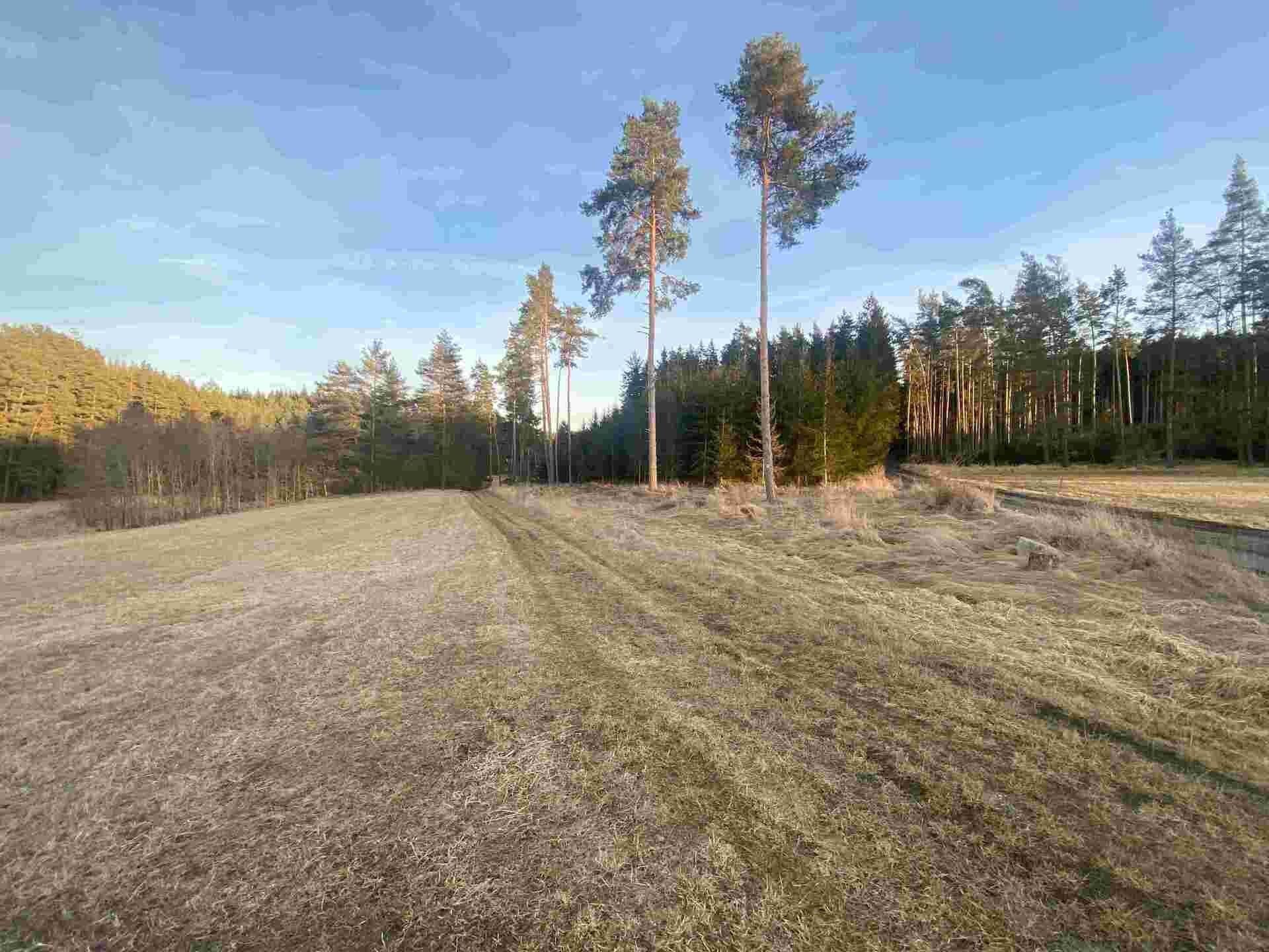 Pozemek · 5 268 m² · Kočov - 4