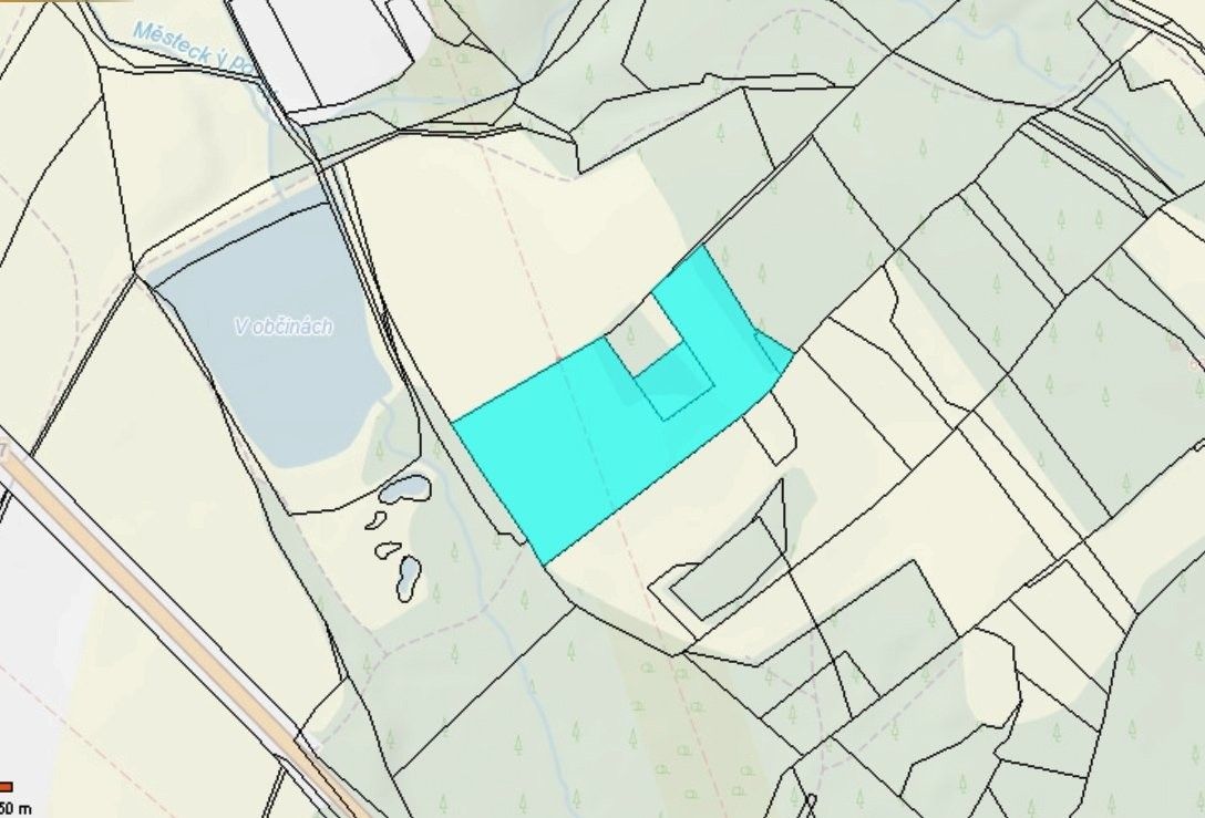 Prodej zemědělský pozemek - Vojnův Městec