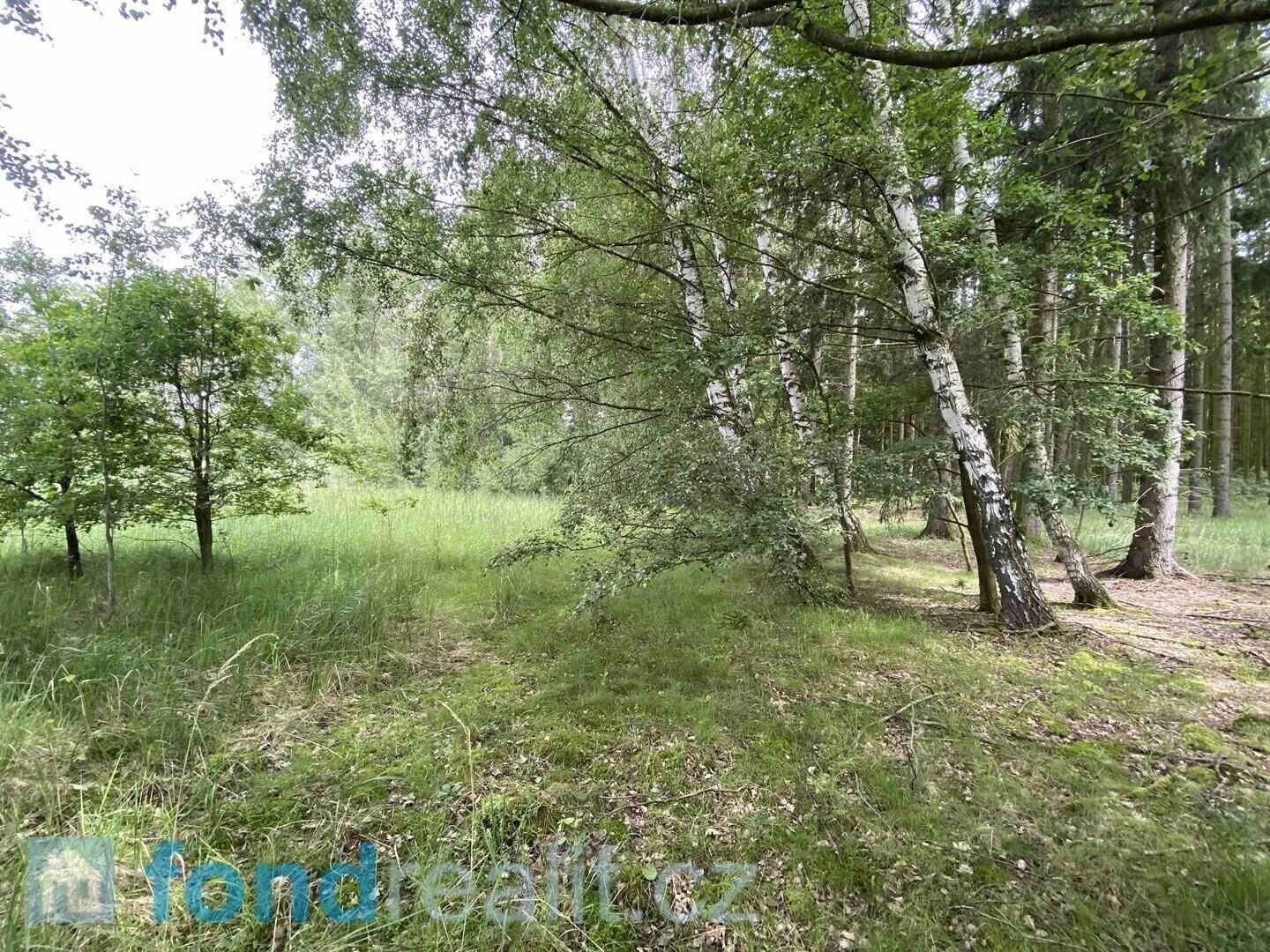 Prodej pozemek - Mladějovice, Čejetice, 1 m²