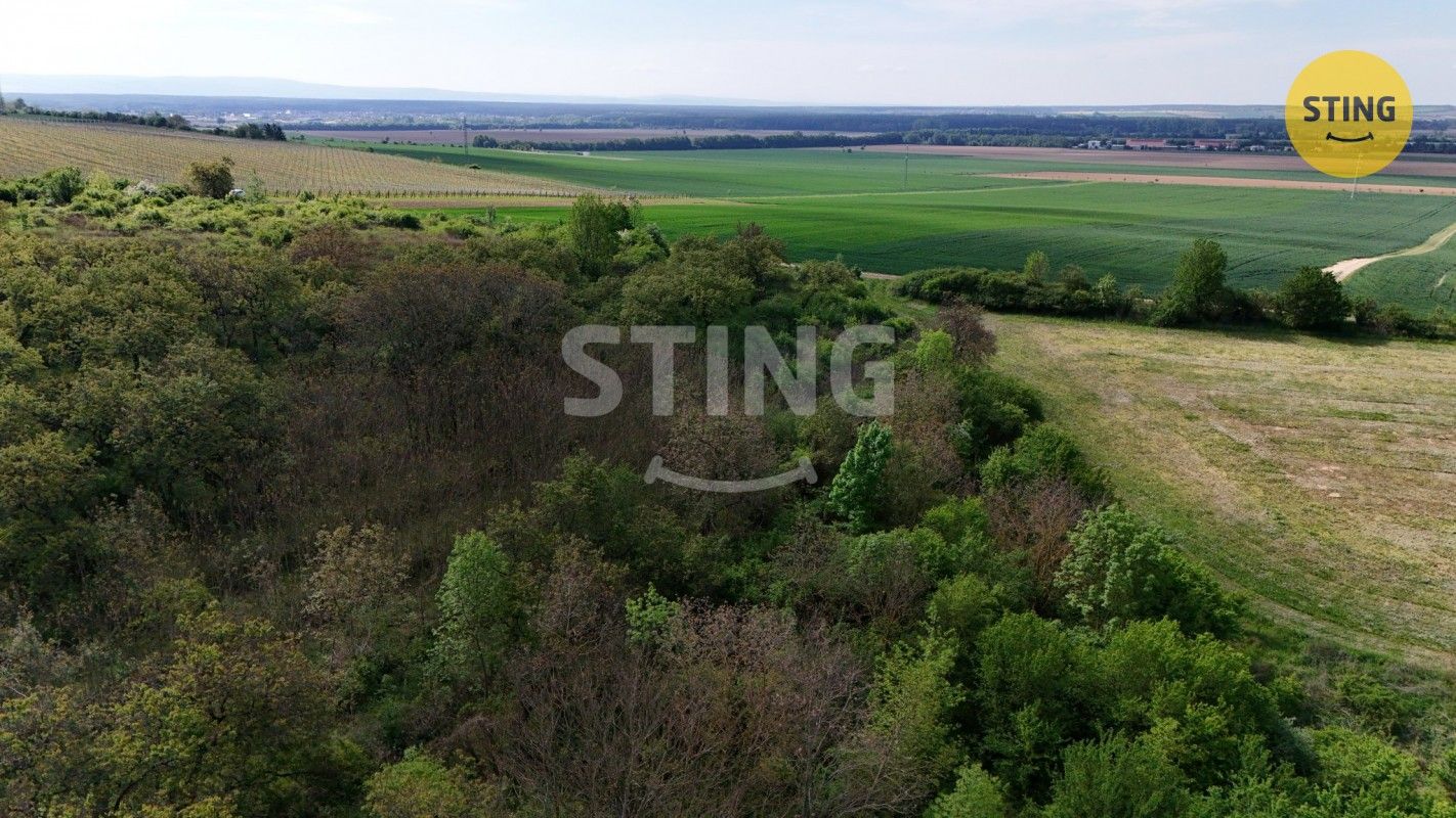 Pozemek · 1 561 m² · Kelčany - 4