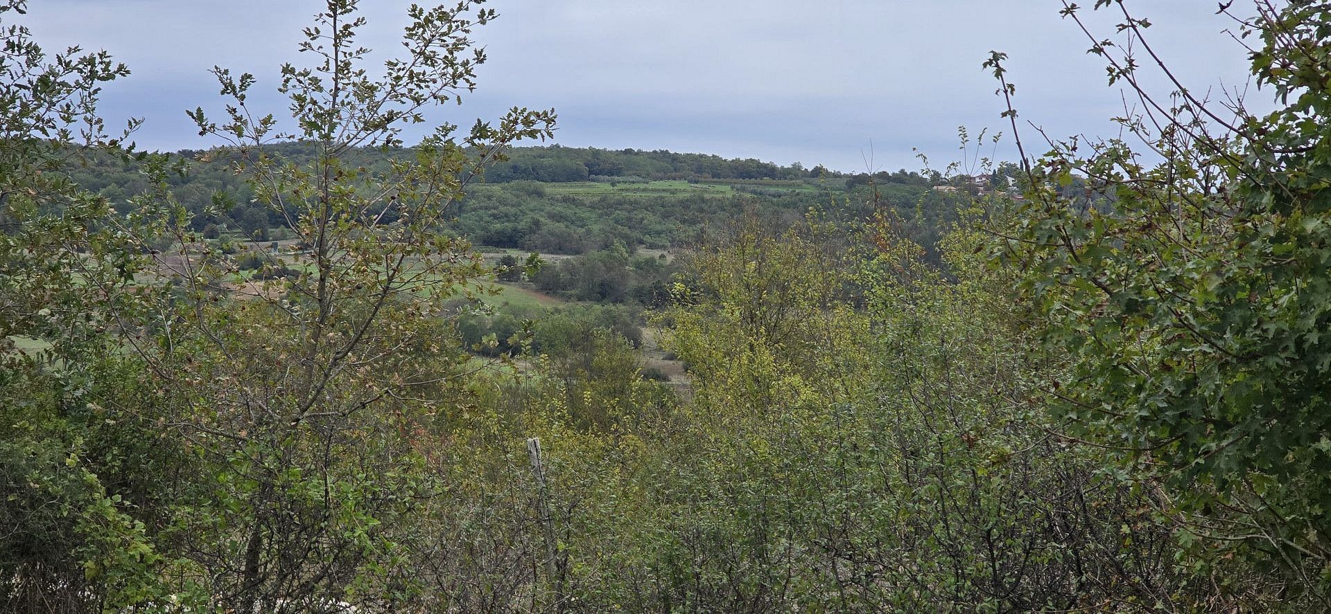 Pozemek pro bydlení, 1 338 m²