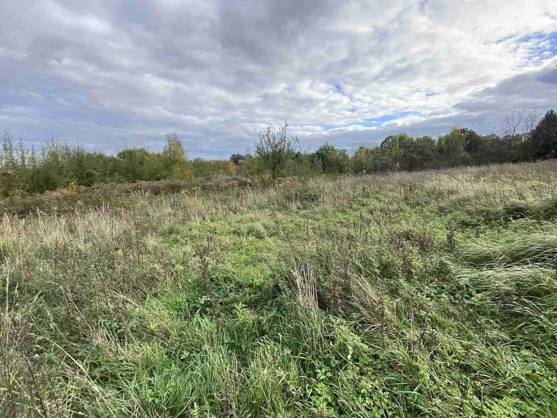 Prodej pozemek pro bydlení - Javorník Horní Hoštice, 1 651 m² - 5