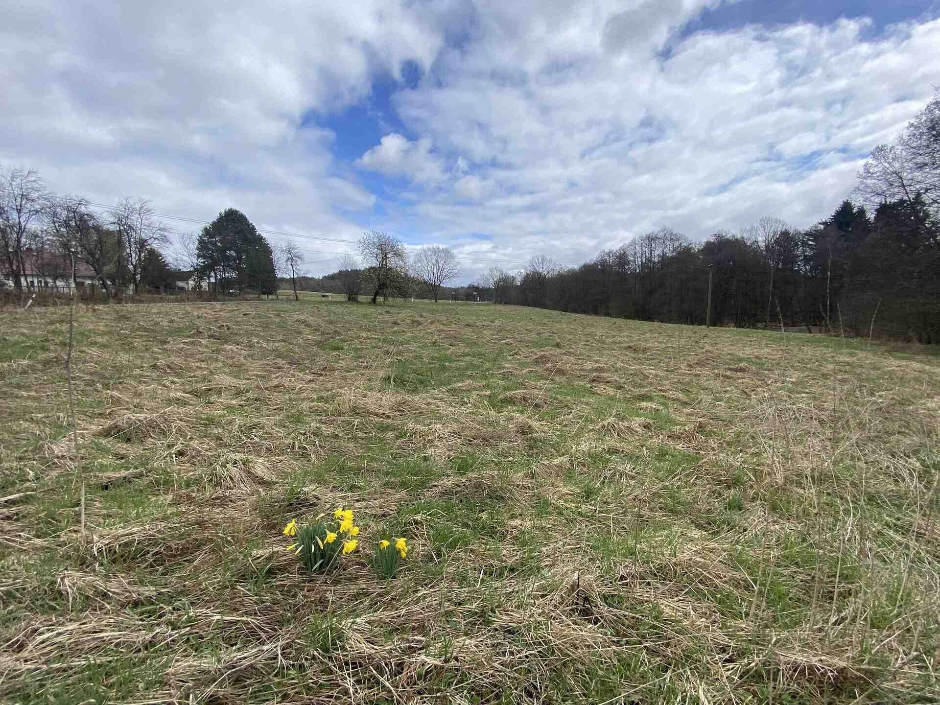 Pozemek · 692 m² · Jablonné v Podještědí Lvová - 3