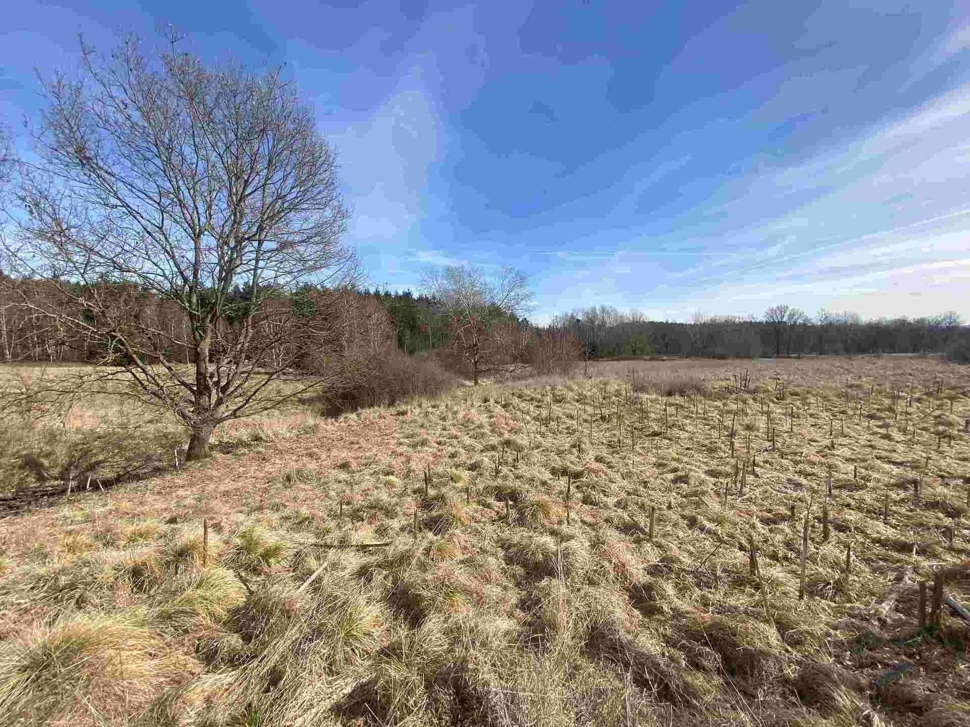 Zemědělský pozemek · 15 408 m² · Františkovy Lázně - 3