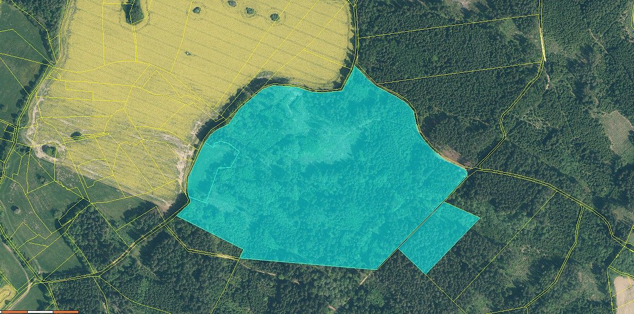 Les, 154 293 m²