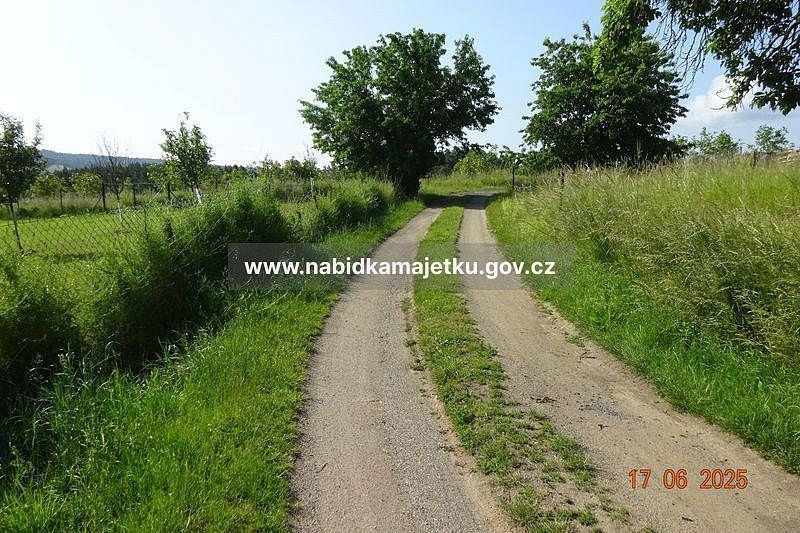 Zahrada · Planá, okres Tachov, Plzeňský kraj - 4