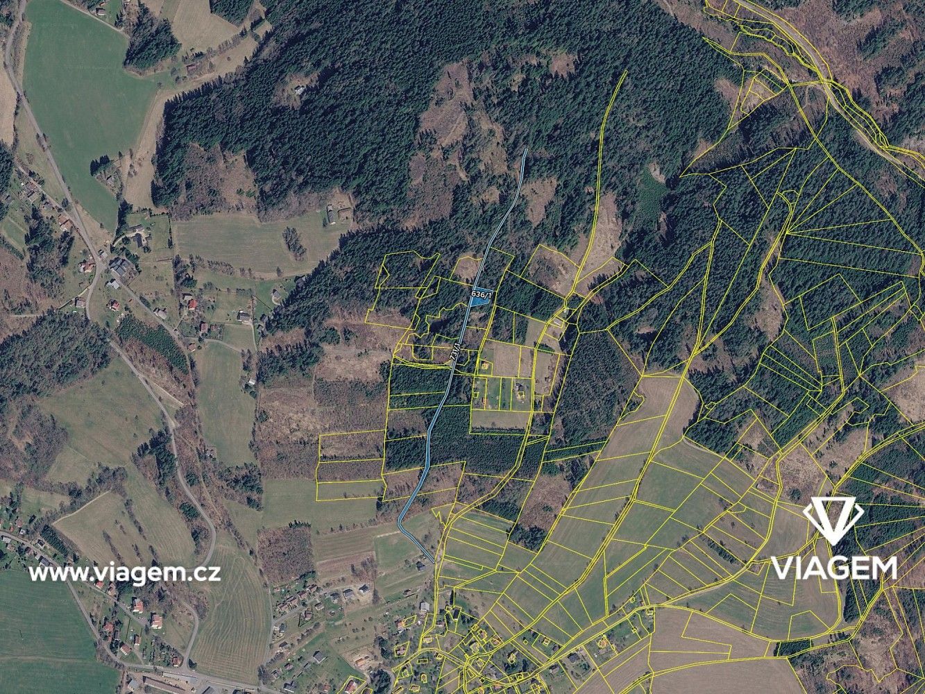 Les · Železný Brod, okres Jablonec nad Nisou, Liberecký kraj - 4