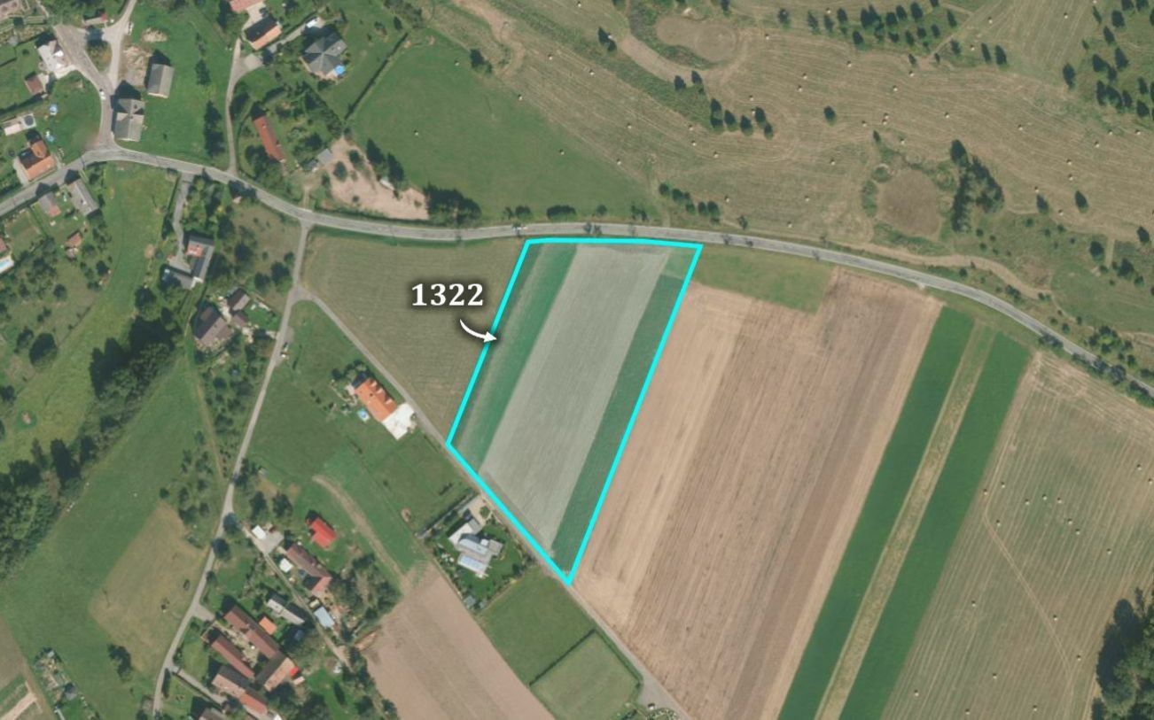 Prodej pozemek pro bydlení - Litíč, 12 551 m²