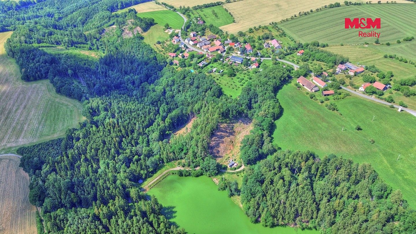 Les · Ohnišov - Zákraví, okres Rychnov nad Kněžnou, Královéhradecký kraj - 4
