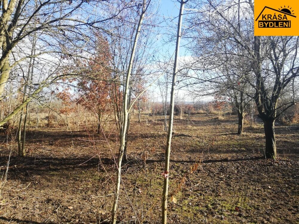 Prodej zahrada - Olomouc, 470 m²