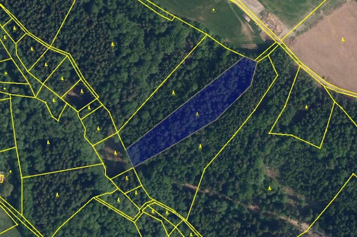 Prodej les - Líšný - Potok, okres Jablonec nad Nisou, Liberecký kraj - 5